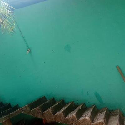 1 lobby house with 3 sides round wall for sale near #Jaffna #Navandurai.-6