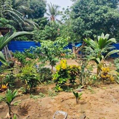 யாழ் மானிப்பாய் பகுதியில் 2.5 பரப்பு காணியில் அமைந்த வடக்கு வாசல் புதிய வீடு விற்பனைக்கு-2