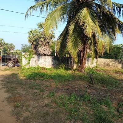24 Parappu Residential Land For Sale in Nedungulam Road in Ariyalai, Jaffna-4