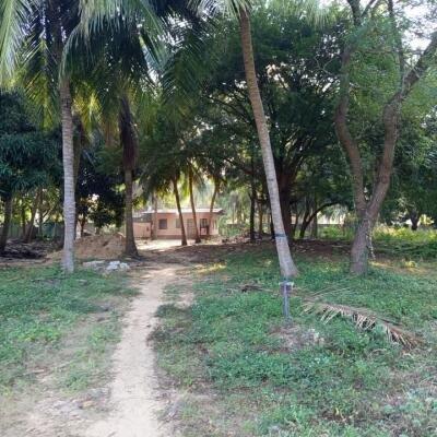 24 Parappu Residential Land For Sale in Nedungulam Road in Ariyalai, Jaffna-2
