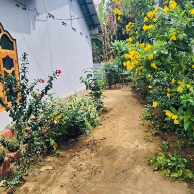 யாழ் மானிப்பாய் பகுதியில் 2.5 பரப்பு காணியில் அமைந்த வடக்கு வாசல் புதிய வீடு விற்பனைக்கு-6