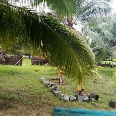 House for sale in Kilinochchchi Aanaivilunthan area-2