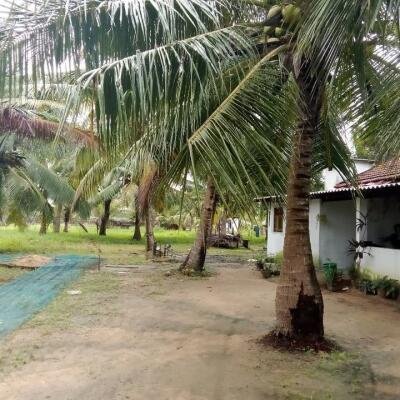 House for sale in Kilinochchchi Aanaivilunthan area-8