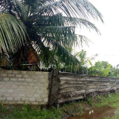 House for sale in Kilinochchchi Aanaivilunthan area-4
