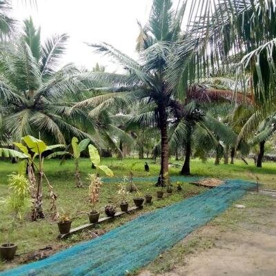 House for sale in Kilinochchchi Aanaivilunthan area-6