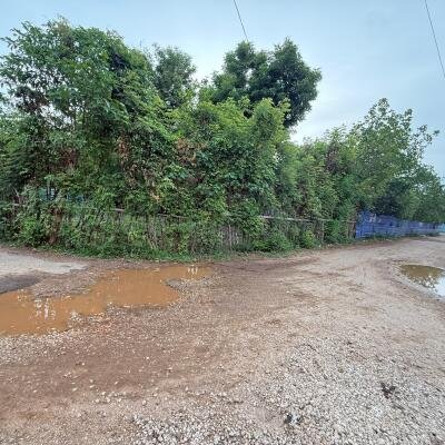உரும்பிராய் வீதியில் வீட்டுடன் காணி விற்பனைக்கு