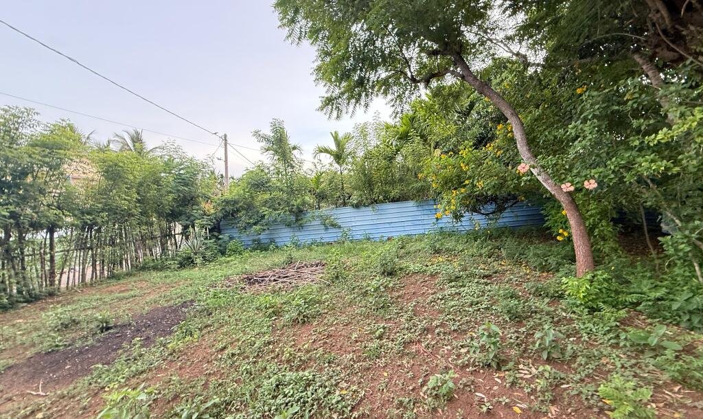 உரும்பிராய் வீதியில் வீட்டுடன் காணி விற்பனைக்கு-4