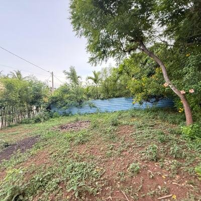 உரும்பிராய் வீதியில் வீட்டுடன் காணி விற்பனைக்கு
