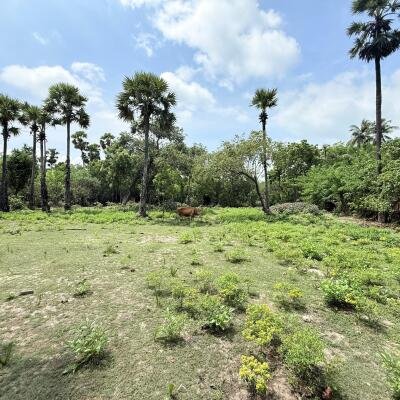 காரைநகரில் காணி விற்பனைக்கு-4