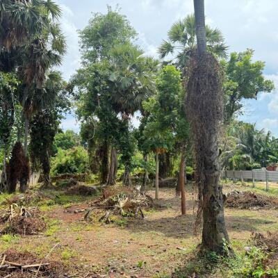 தெல்லிப்பளையில் 4 பரப்பு வீதியோரமாக காணி விற்பனைக்கு-4