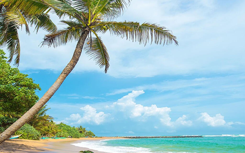 The Enchanting Beaches of Sri Lanka: Paradise on the Emerald Isle