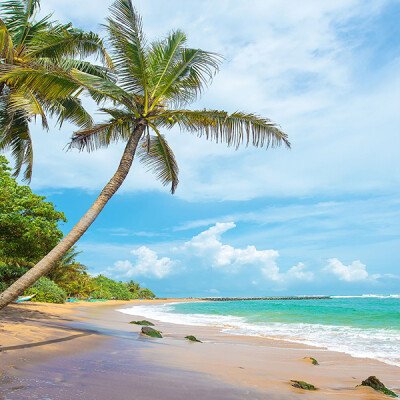The Enchanting Beaches of Sri Lanka: Paradise on the Emerald Isle