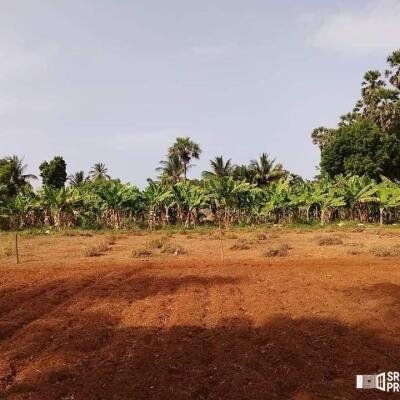 17 plots of land for sale at a distance of 700m from Ilavalai Periyavilan Junction to Thellippahi Kabpet road.-3
