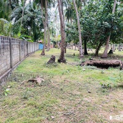 8 acres of land available for sale in kantharodai Jaffna