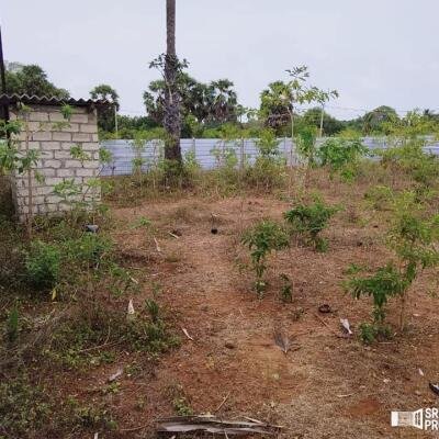 2 plots of Land for Sale at 700 meters from Hospital in Thellipallai-3