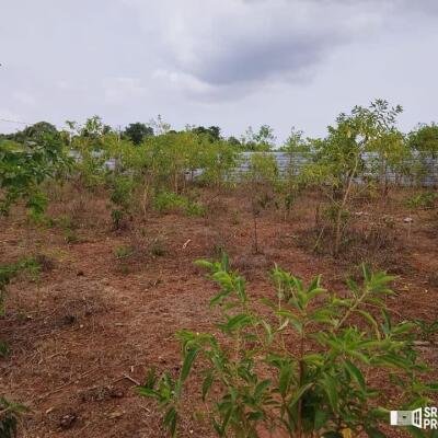 2 plots of Land for Sale at 700 meters from Hospital in Thellipallai-4