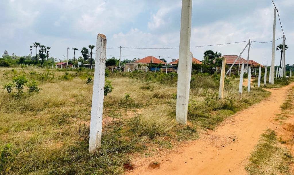 Land For Sale In  Thellipallai Veemagamam Jaffna-1