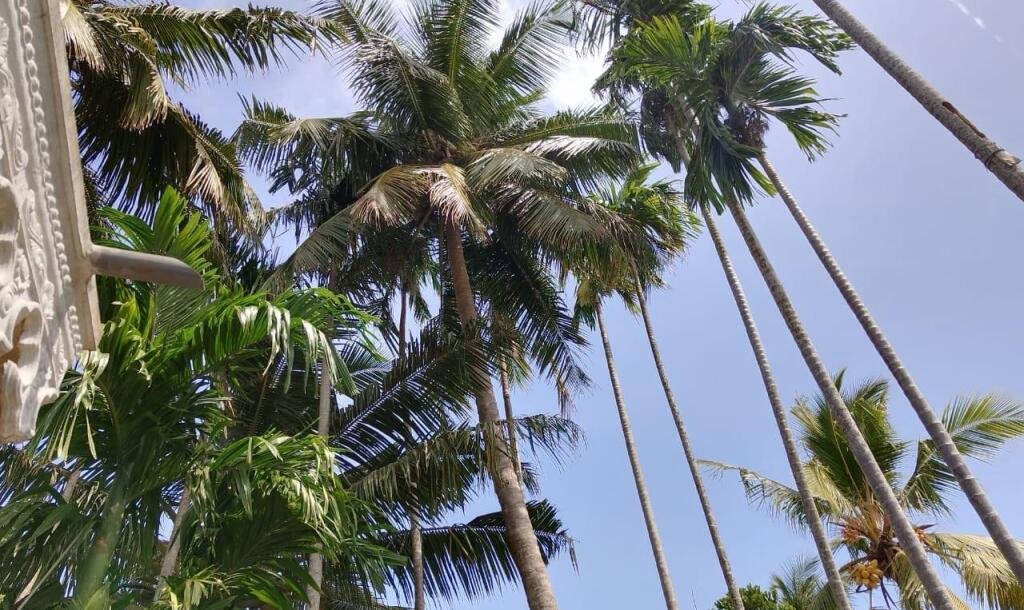 With 2 acres of land in Urealu, Jaffna For sale  & New house for sale-3