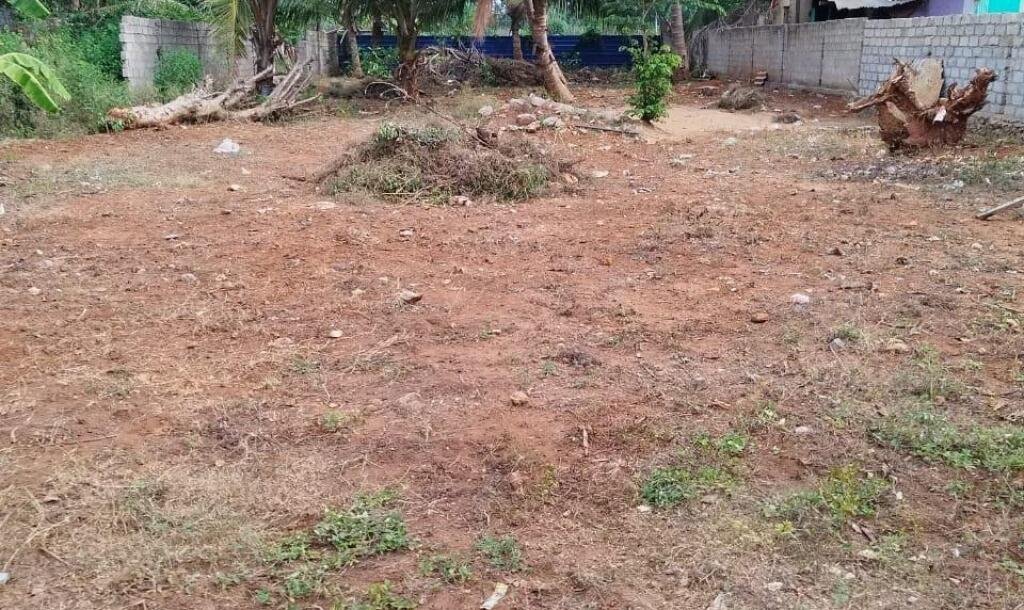 Marudanarmadam - Manippai road 3 area road side land for sale-1