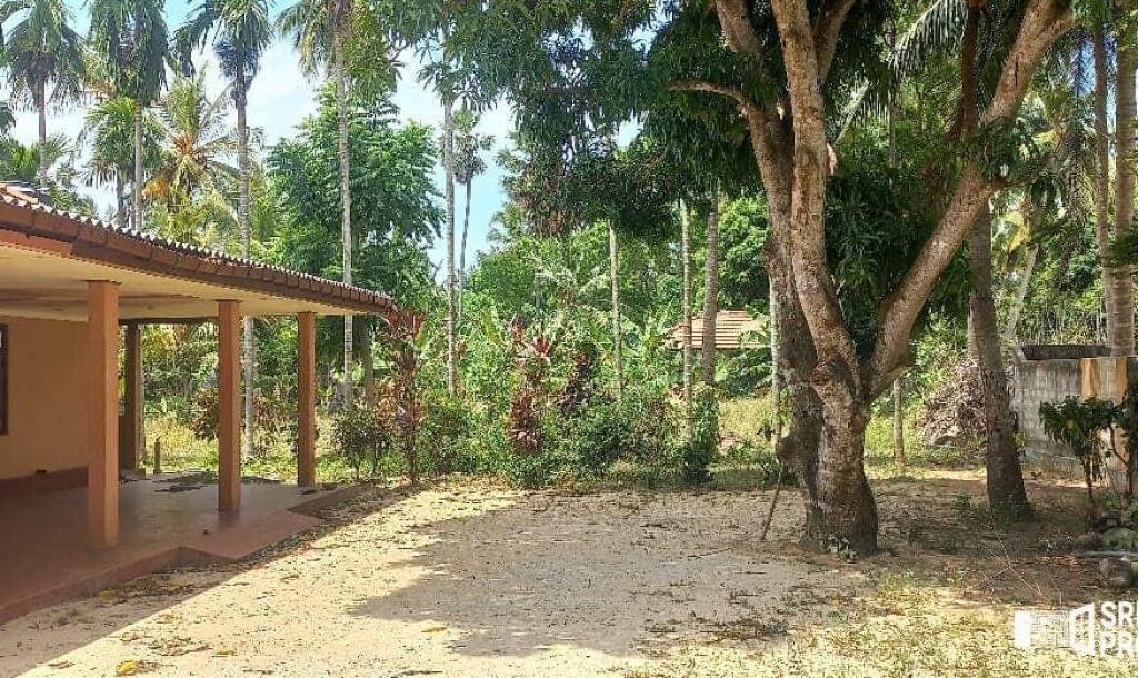 3 bedroom house for sale on 11 acres of land in Meesalai Puthur Junction Vembrai-11