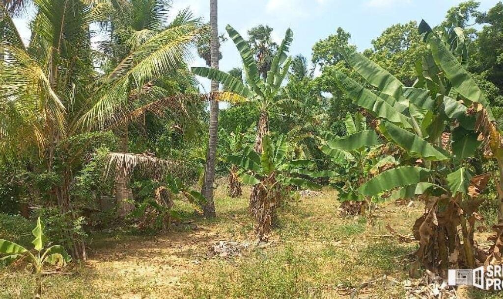 3 bedroom house for sale on 11 acres of land in Meesalai Puthur Junction Vembrai-12