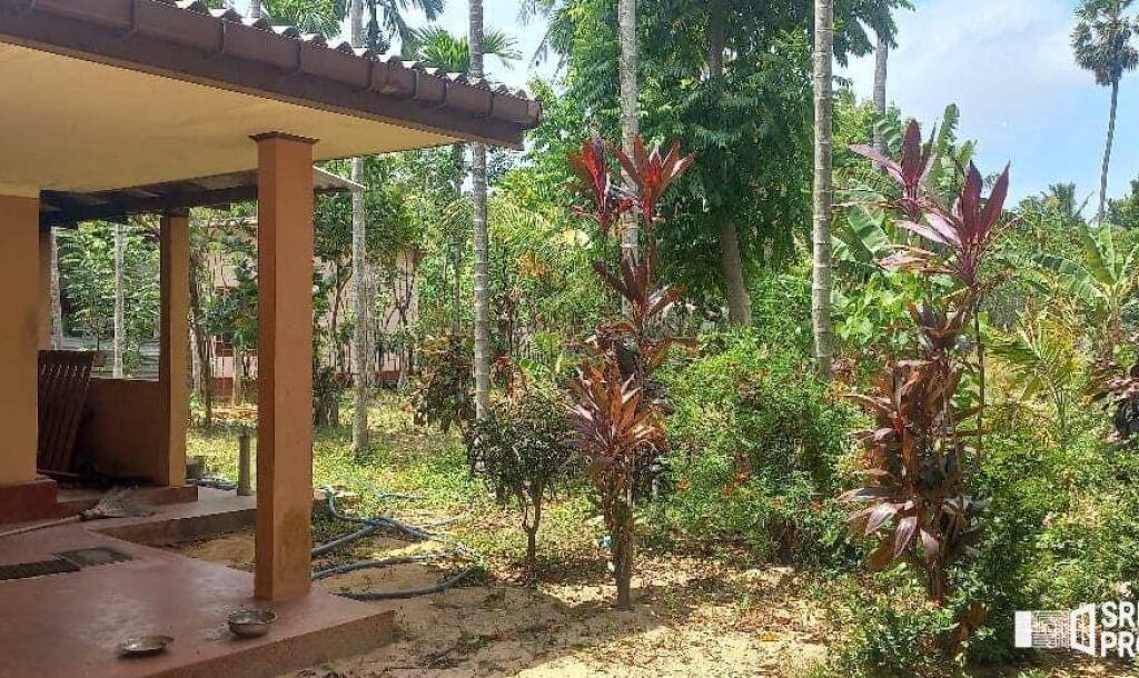 3 bedroom house for sale on 11 acres of land in Meesalai Puthur Junction Vembrai-13
