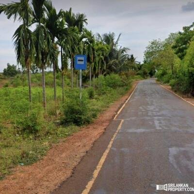 5 area 7 pit land with frontage 80 feet along Rasapada road going to Neerveli-Siruppitti-Nilawari for sale-2