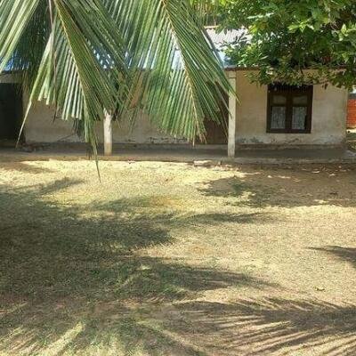 6 plot of land and house for sale at 1.5 km opposite library in Nunavail Jaffna-2