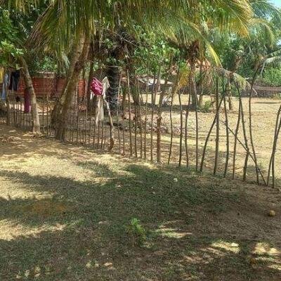 6 plot of land and house for sale at 1.5 km opposite library in Nunavail Jaffna-4