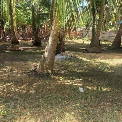 6 plot of land and house for sale at 1.5 km opposite library in Nunavail Jaffna-10