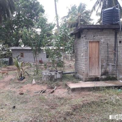 3 Acres Of Land Available For Sale In Pavatamadu Puttalam-4