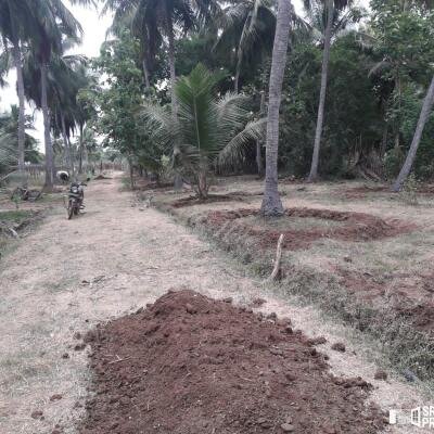 3 Acres Of Land Available For Sale In Pavatamadu Puttalam-6