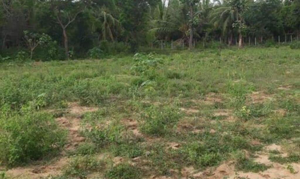 Land For Sale In Puttalam-1