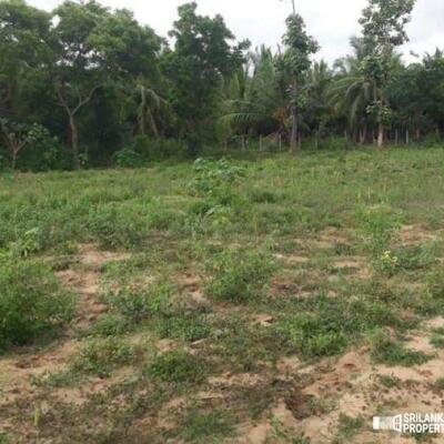 Land For Sale In Puttalam