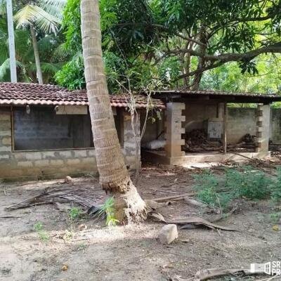 3 bedroom house for sale situated on 4 acres of land 1 km from Suzhipuram Post Office.-3