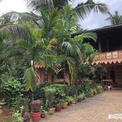 4000squarefeet house 5 rooms downstairs New House with 11 Area plot in Vavuniya Maharambaikulam-2