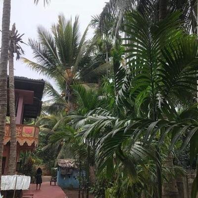 4000squarefeet house 5 rooms downstairs New House with 11 Area plot in Vavuniya Maharambaikulam-7