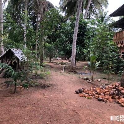 4000squarefeet house 5 rooms downstairs New House with 11 Area plot in Vavuniya Maharambaikulam-8